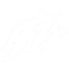 9z Team